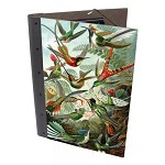 schrijfklemmap 
'Kolibrie'